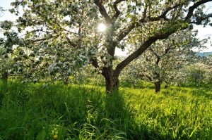 016d128ac4012e1e066ca15673371f718d6b9bb92e